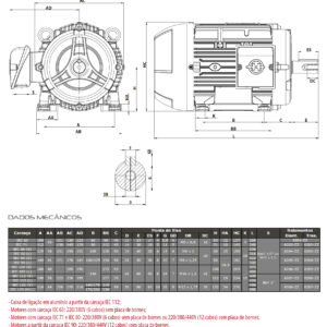 Dados mecânicos motores trifásico Hercules